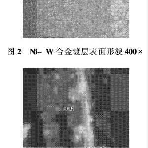 Ni-WϽ僌T^ϵđ